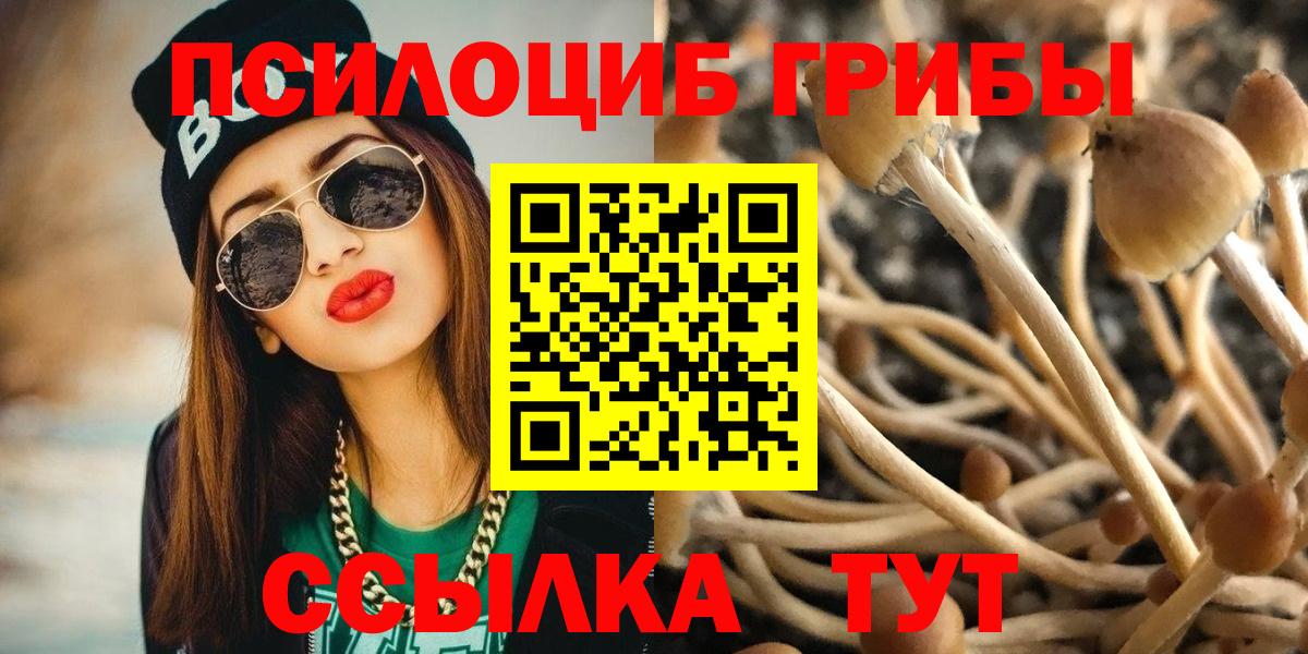 Псилоцибиновые грибы мухоморы Альметьевск