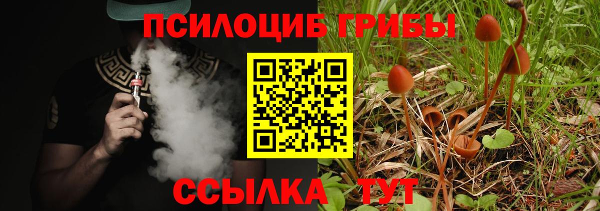 Галлюциногенные грибы Magic Shrooms  Вход с VPN  Альметьевск  Галлюциногенные грибы ЛСД 